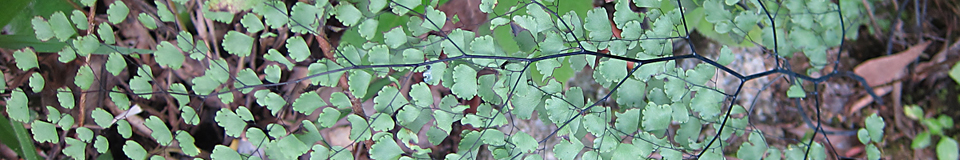Head2